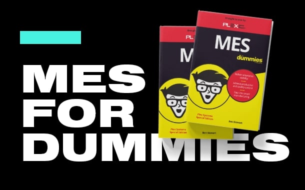 MES for Dummies E-Book